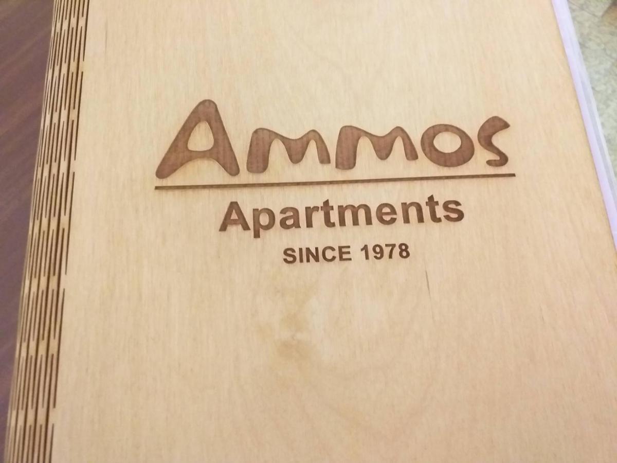 Ammos Apartments Ajos Nikolaos Zewnętrze zdjęcie